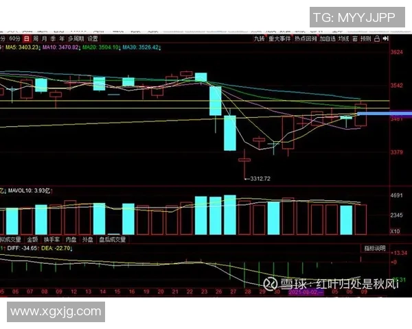 杭州篮球队与上海篮球队赛后复盘分析比赛节奏与战术对决 杭州篮球队与上海篮球队赛后复盘分析比赛节奏与战术对决