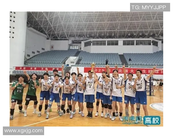 武汉排球队实力强劲荣登全国排球实力排行榜第九位