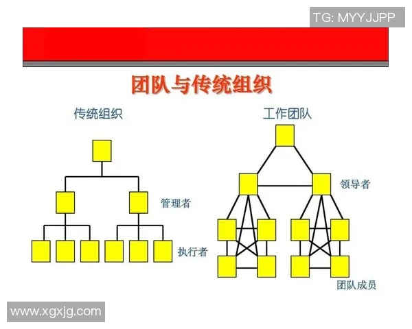 广州乒乓球队在挑战赛中的团队协作表现分析与点评 广州乒乓球队在挑战赛中的团队协作表现分析与点评