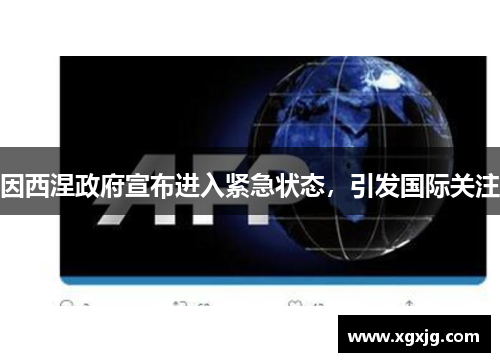 因西涅政府宣布进入紧急状态，引发国际关注